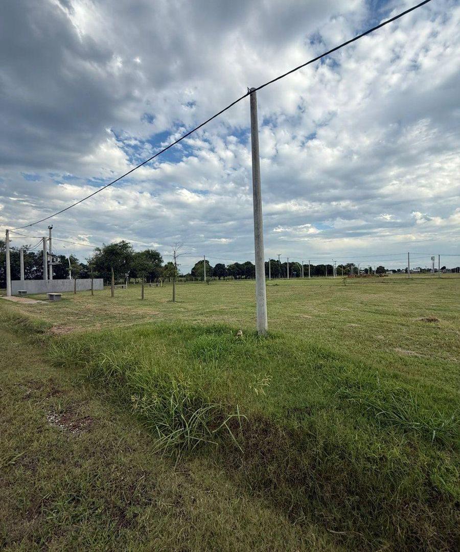 Foto de VENTA LOTE PUJATO NORTE - LOTEO EL CRISTO, imagen 4