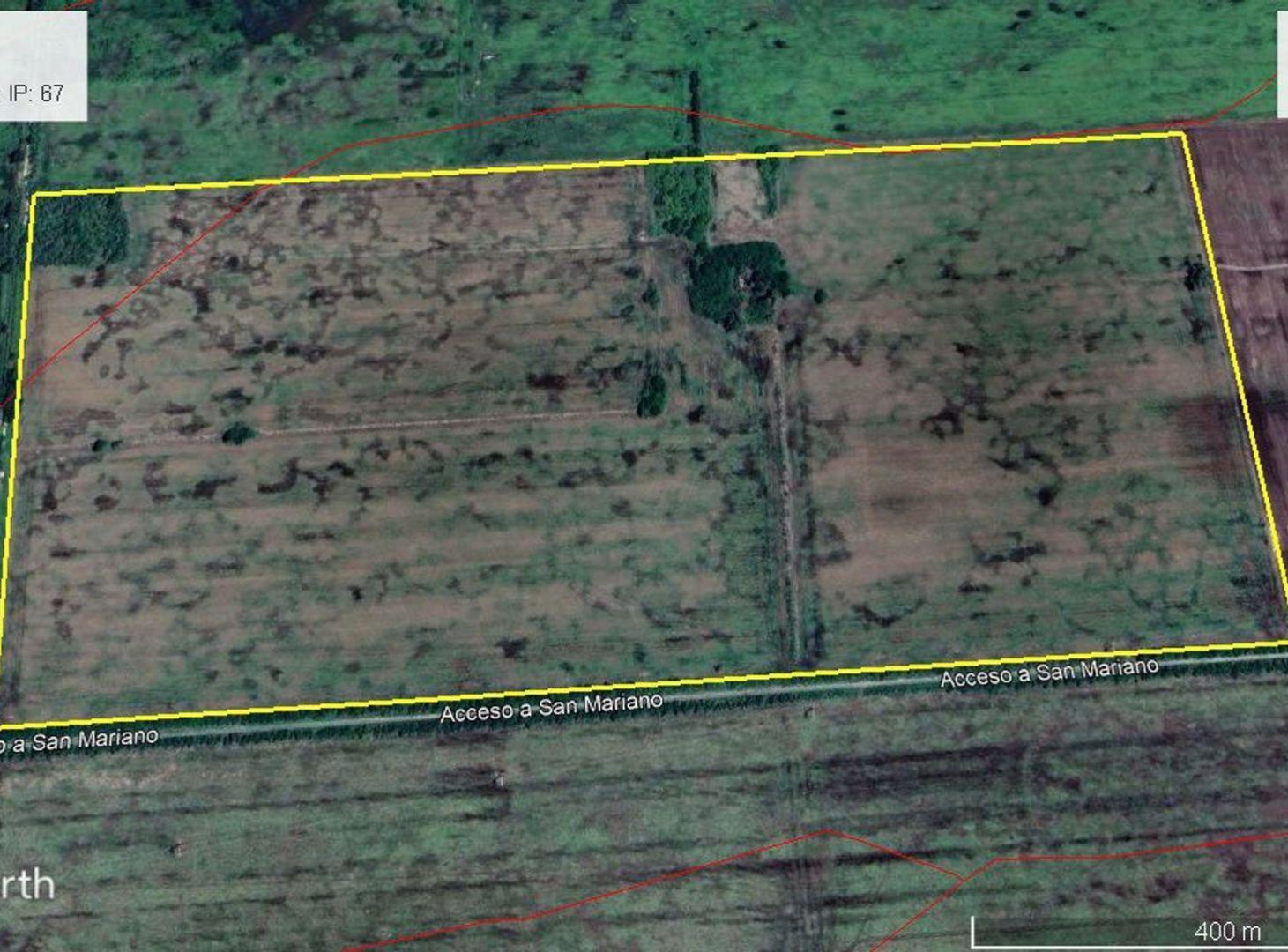Foto de VENTA 55 HAS CAMPO AGRICOLA SAN MARIANO, imagen 1