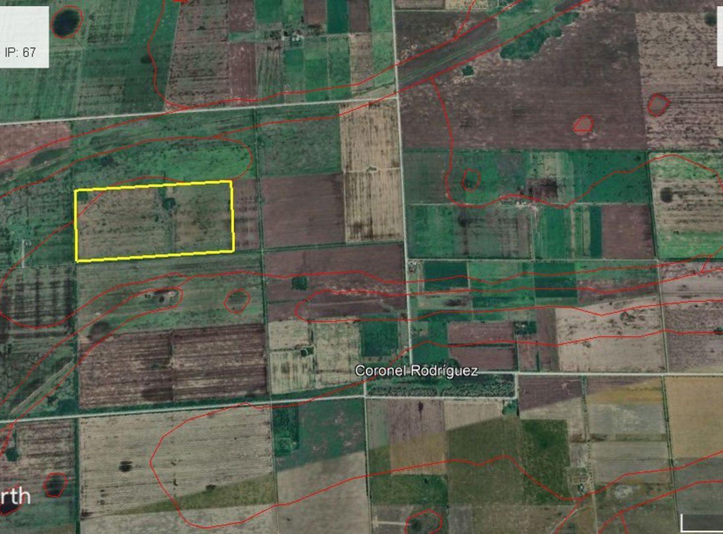 Foto de VENTA 55 HAS CAMPO AGRICOLA SAN MARIANO, imagen 2