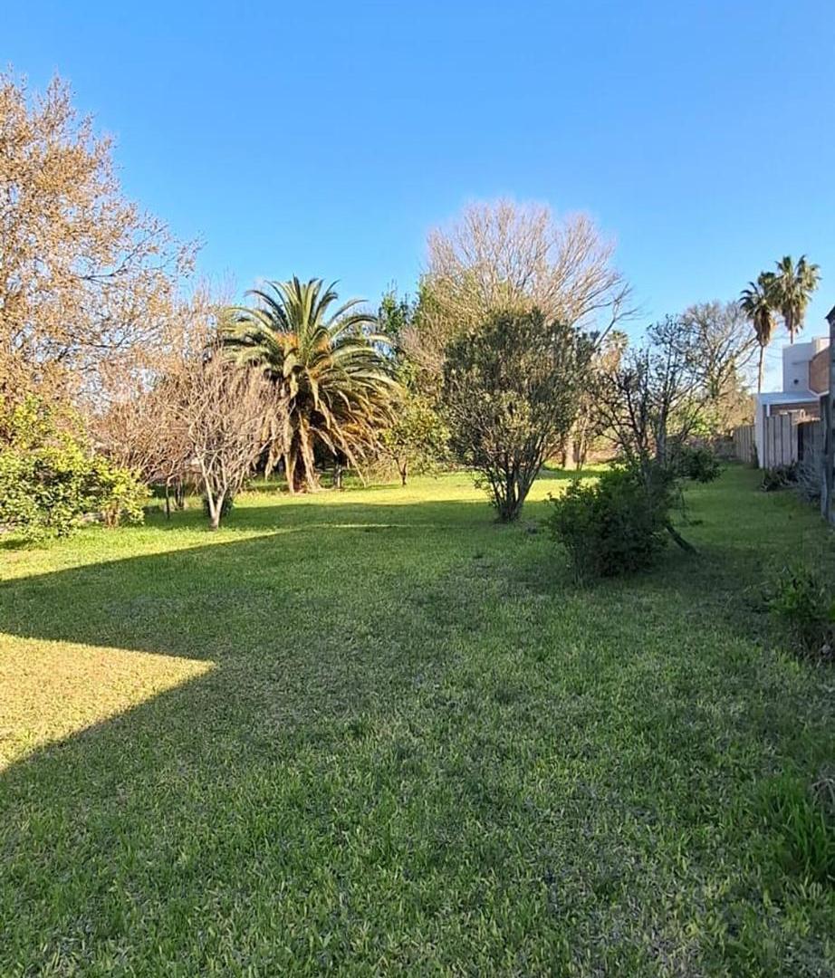 Foto de VENTA CASA CON GRAN TERRENO - NUEVO TORINO., imagen 1