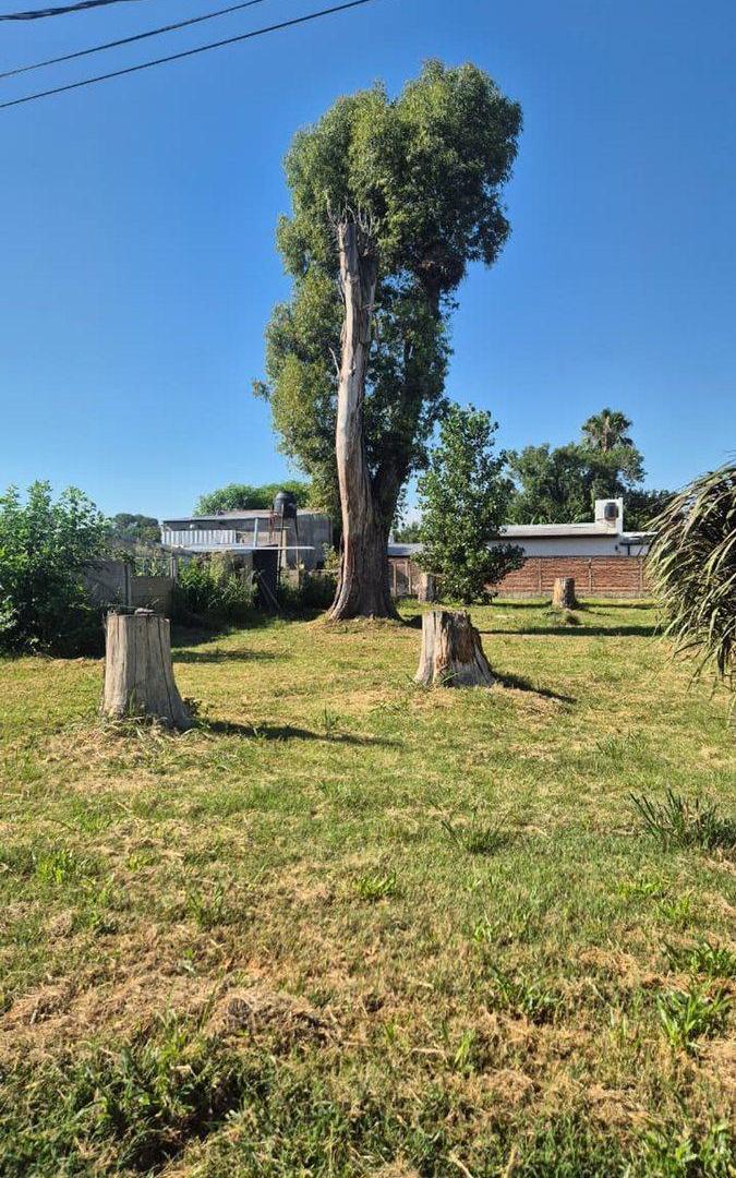 Foto de VENTA DE LOTE SOBRE EQUINA EN NUEVO TORINO, imagen 2