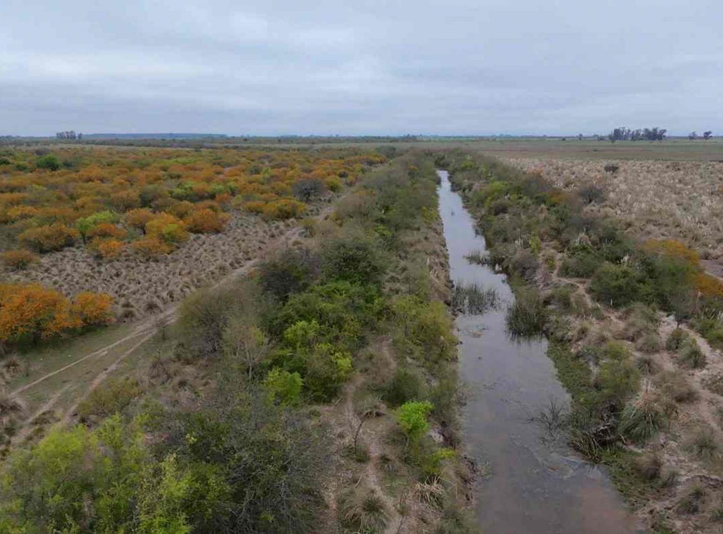 Foto de VENTA CAMPO 323 has mixtas entre Nelson y Llambi, imagen 4
