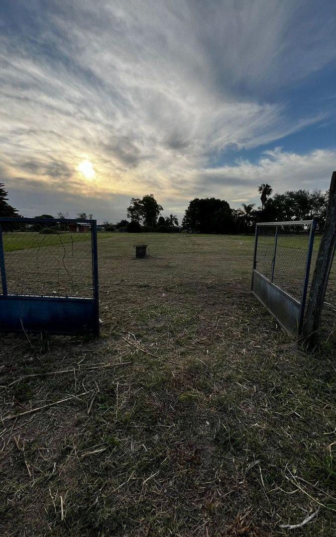 Foto de VENTA TERRENO con financiacion - Nuevo Torino., imagen 3