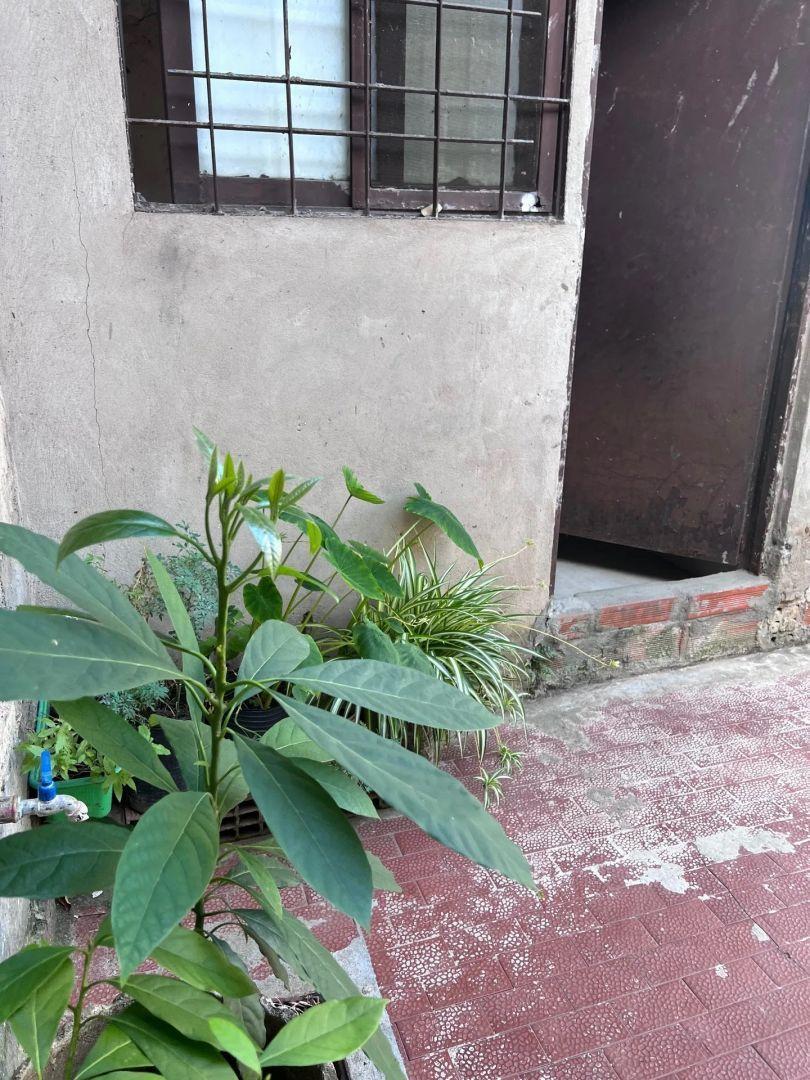 Foto de José Martí 1700 Flores Casa 3amb U$180.000, imagen 3