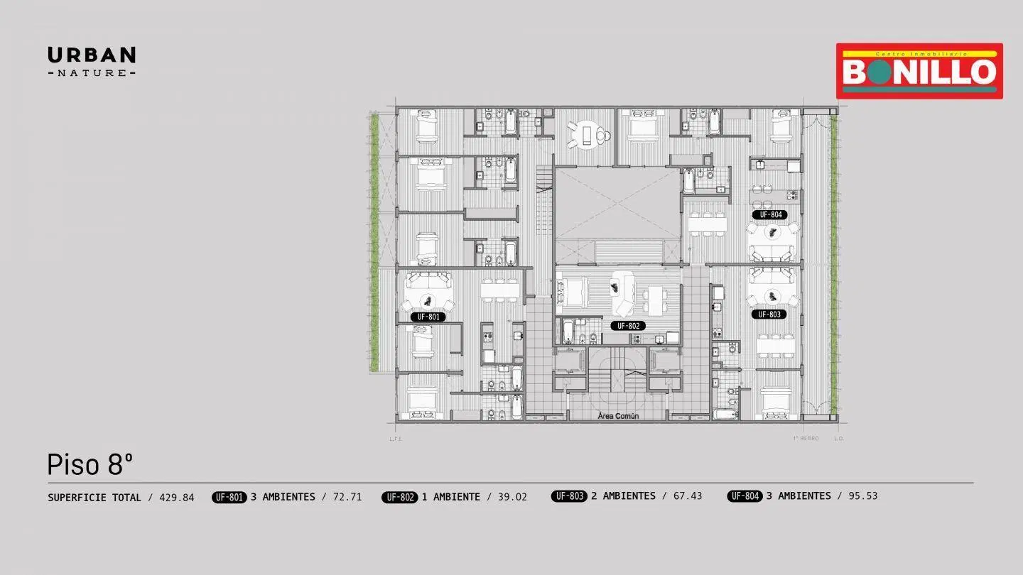 Plano 6
