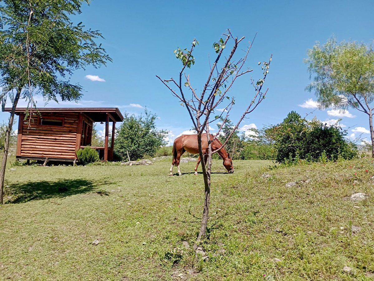 Venta de Casa 1 Dorm en Villa Yacanto Calamuchita 5