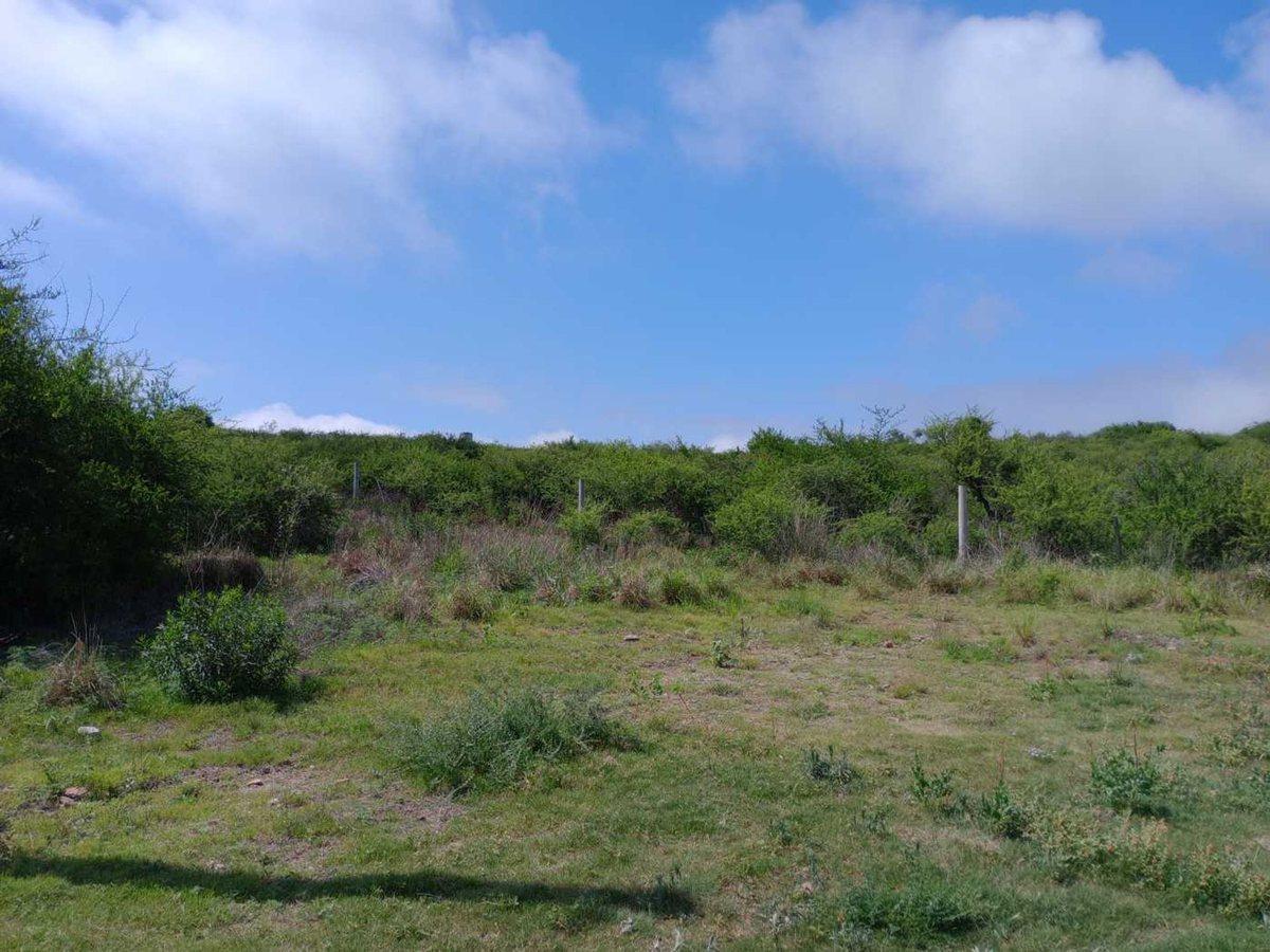 Lote de 513 Mtrs2 en Venta en Santa Cruz del Lago 2