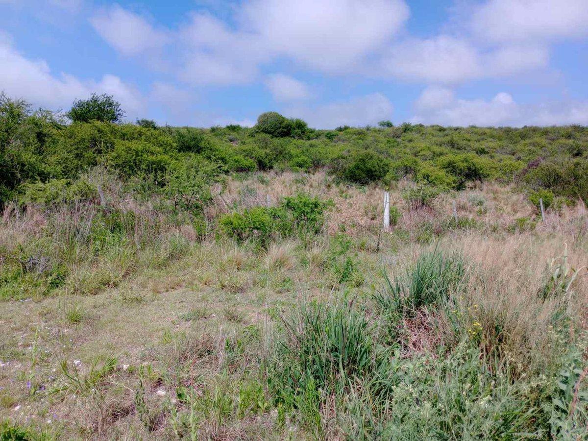 Lote de 513 Mtrs2 en Venta en Santa Cruz del Lago 1