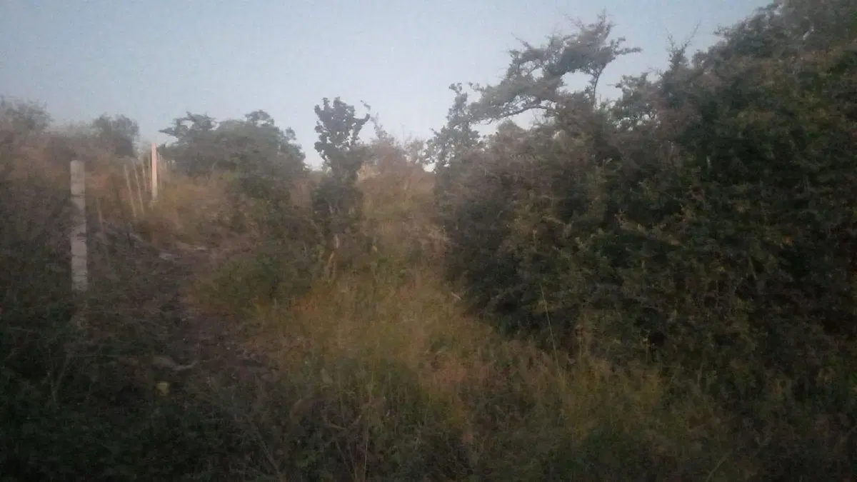 VENTA TERRENO TANTI NUEVO - 1918 M2 2