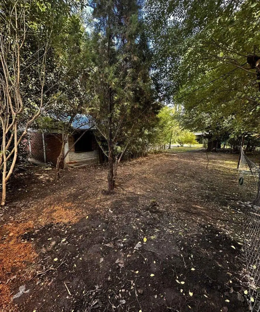 VENTA 2 MONOAMBIENTES SANTA ROSA DE CALAMUCHITA 5