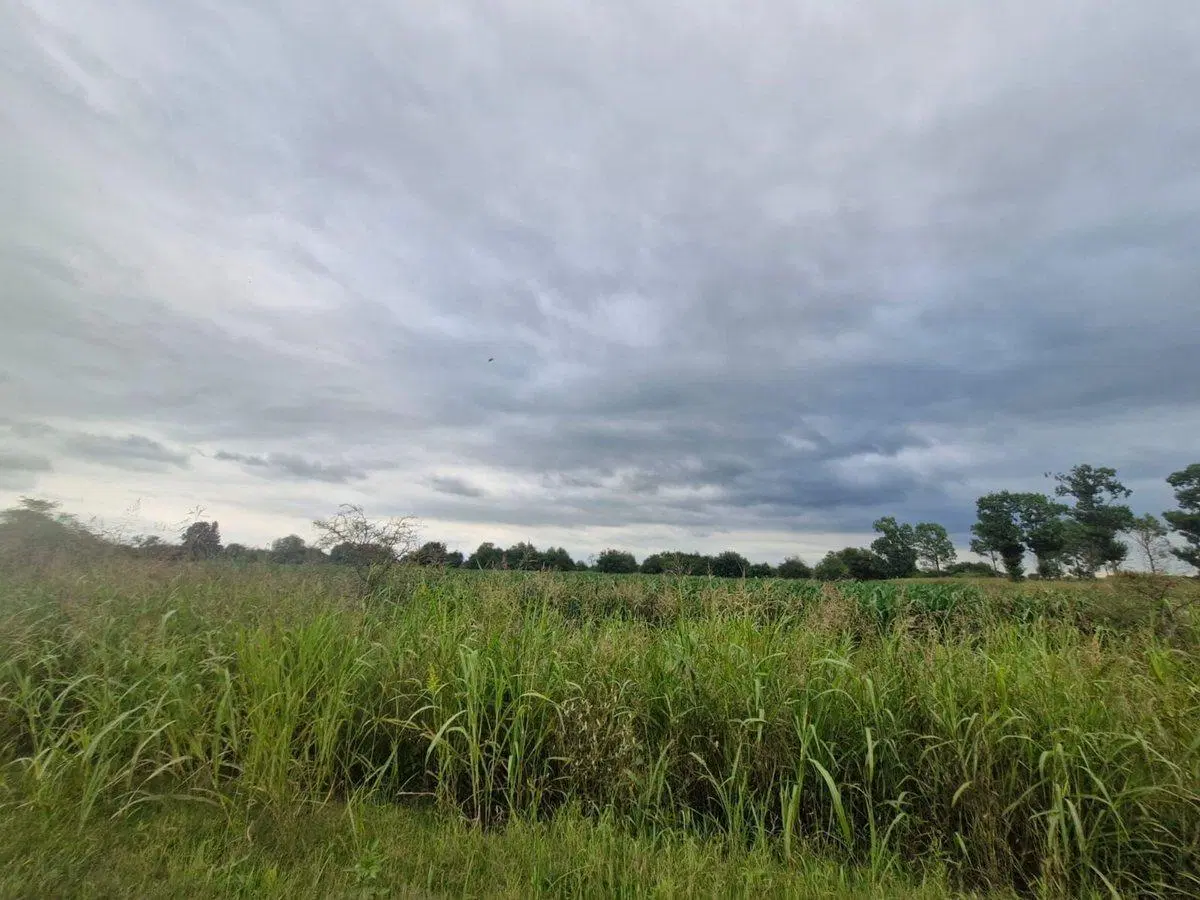 VENTA 16 HECTAREAS AGRICOLAS COLONIA CAROYA CBA 4