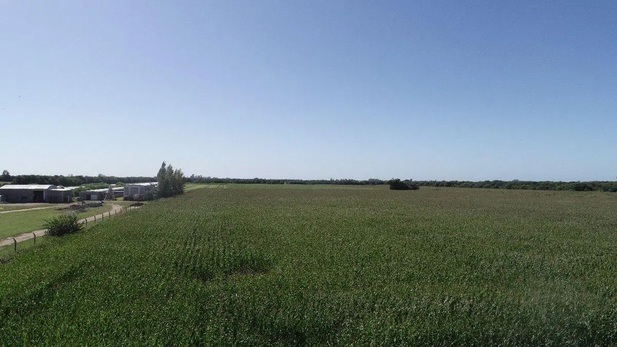 VENTA CAMPO 6 HAS. COLONIA TIROLESA - CORDOBA 3