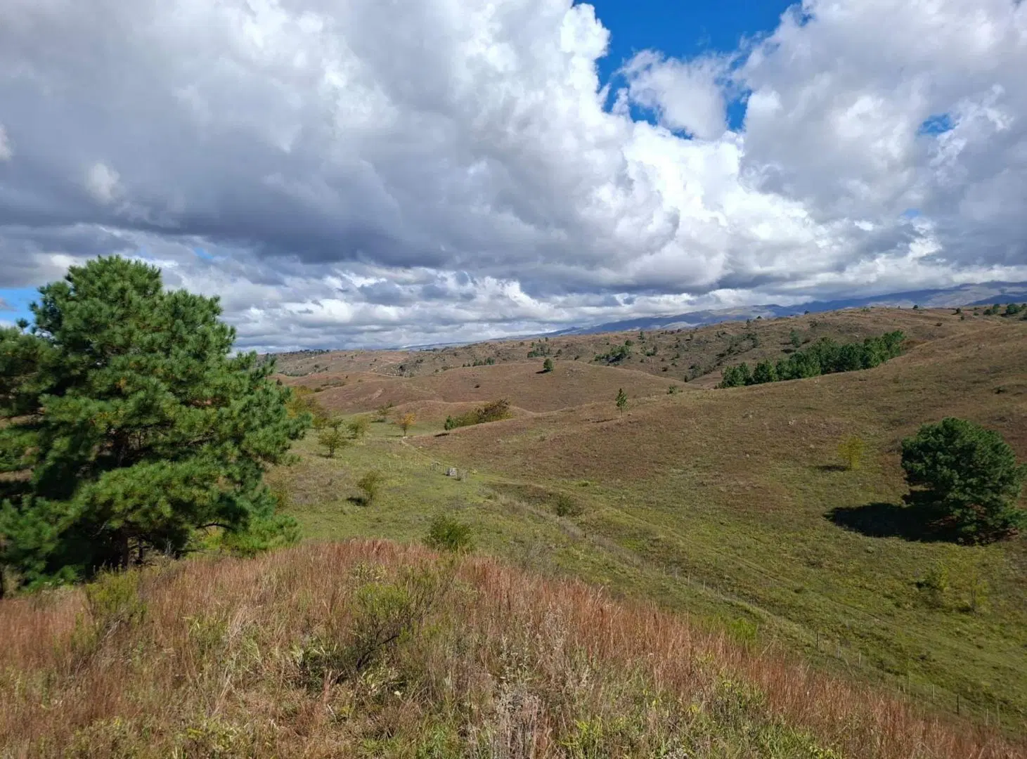 VENTA LOTE SAN MIGUEL DE LOS RIOS YACANTO CÓRDOBA 4