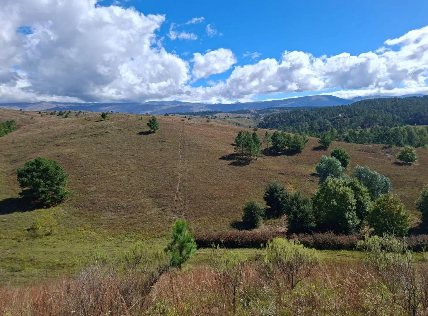 VENTA LOTE SAN MIGUEL DE LOS RIOS YACANTO CÓRDOBA 3