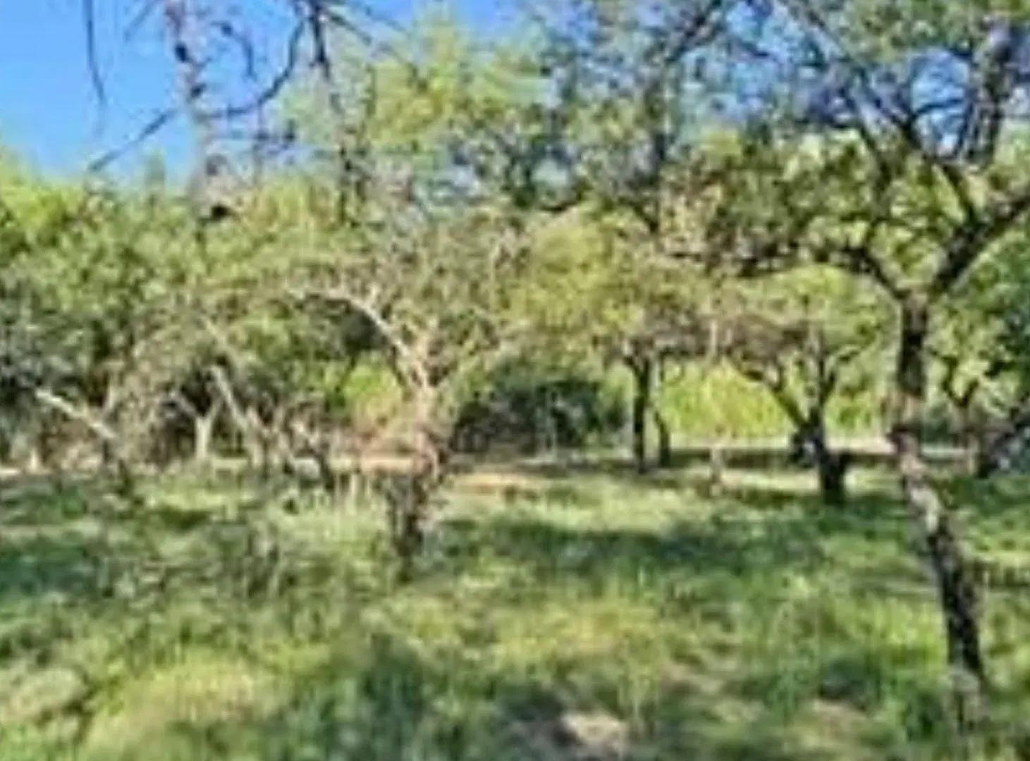 VENTA TERRENO CERRITOS, VILLA LA BOLSA, CORDOBA 2