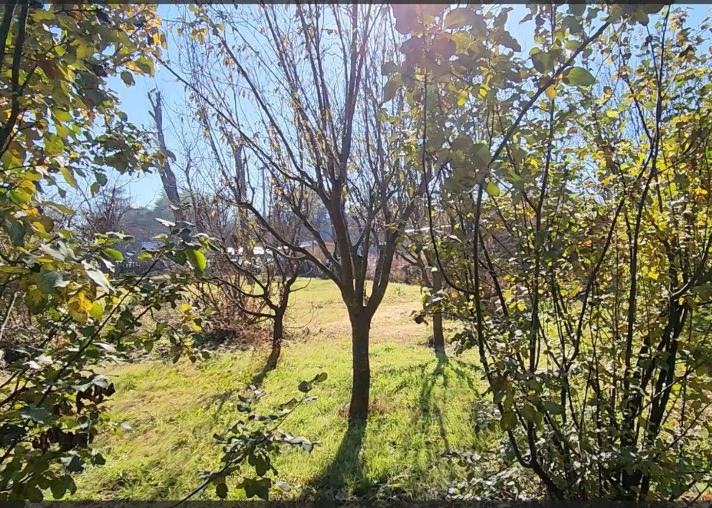 Se vende terreno Santa Rosa de Calamuchita Córdoba 3