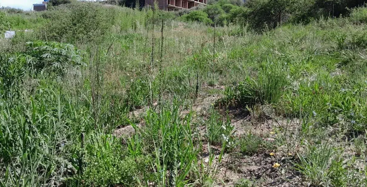 VENTA LOTE 700MT,VILLA DEL LAGO CARLOS PAZ CORDOBA 3