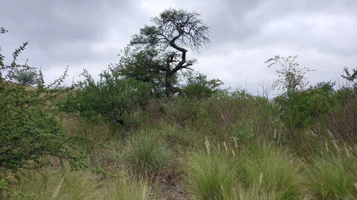 VENTA LOTE APTO 5 UNIDADES VILLA ALLENDE ESCRITURA 5