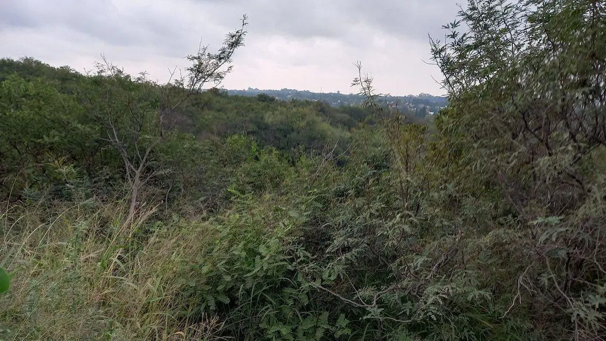 VENTA LOTE PARA DESARROLLO RESIDENCIAL - ESCRITURA 4
