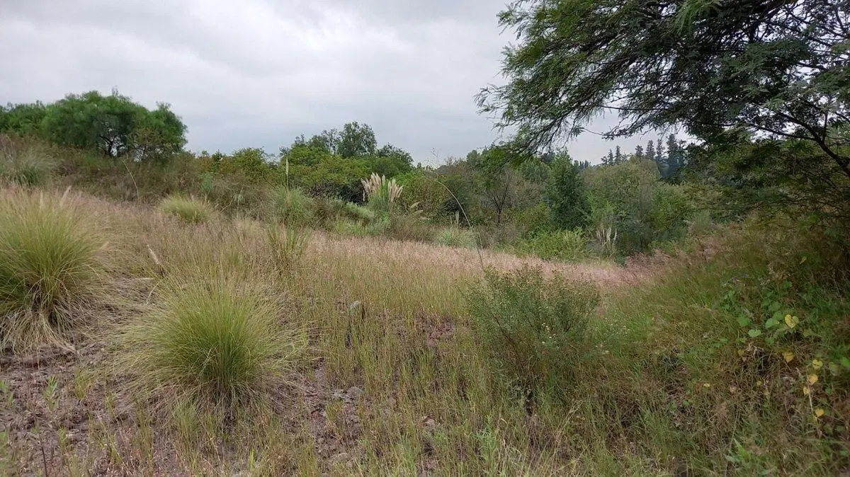 VENTA LOTE DESARROLLO DE BAJA DENSIDAD V. ALLENDE 2