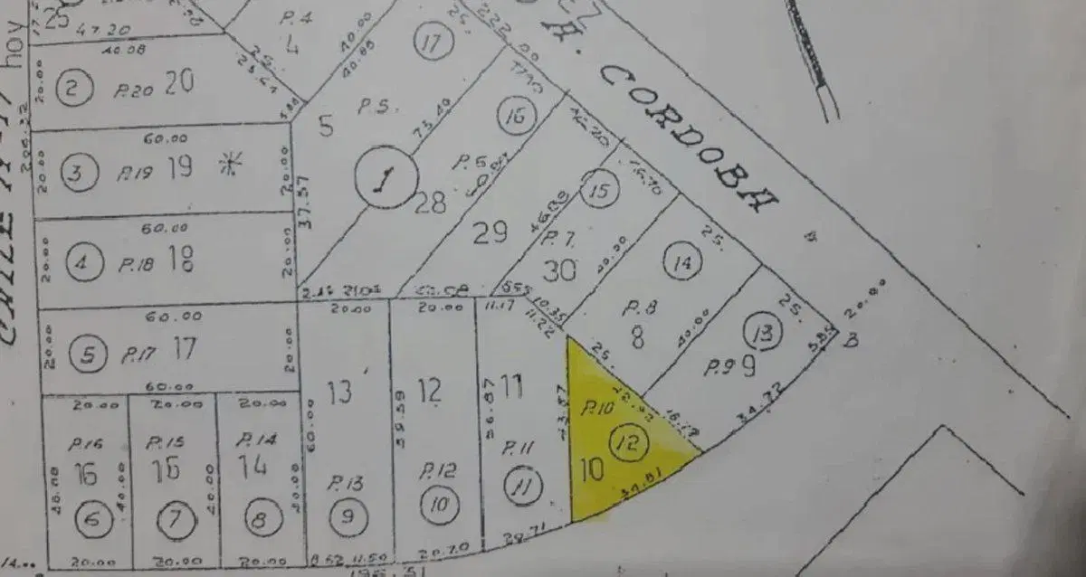 Plano 1