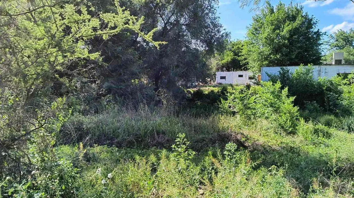 VENTA TERRENO BARRIO JARDIN DE EPICURIO V ALLENDE 2