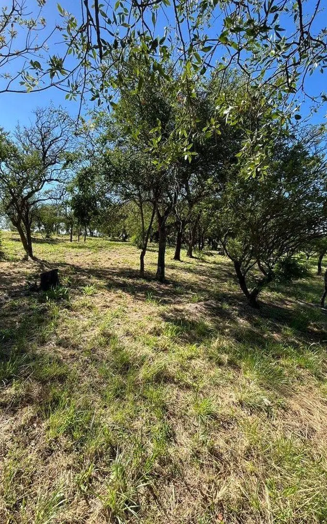 VENTA DE 24 LOTES EN ALTA GRACIA 3