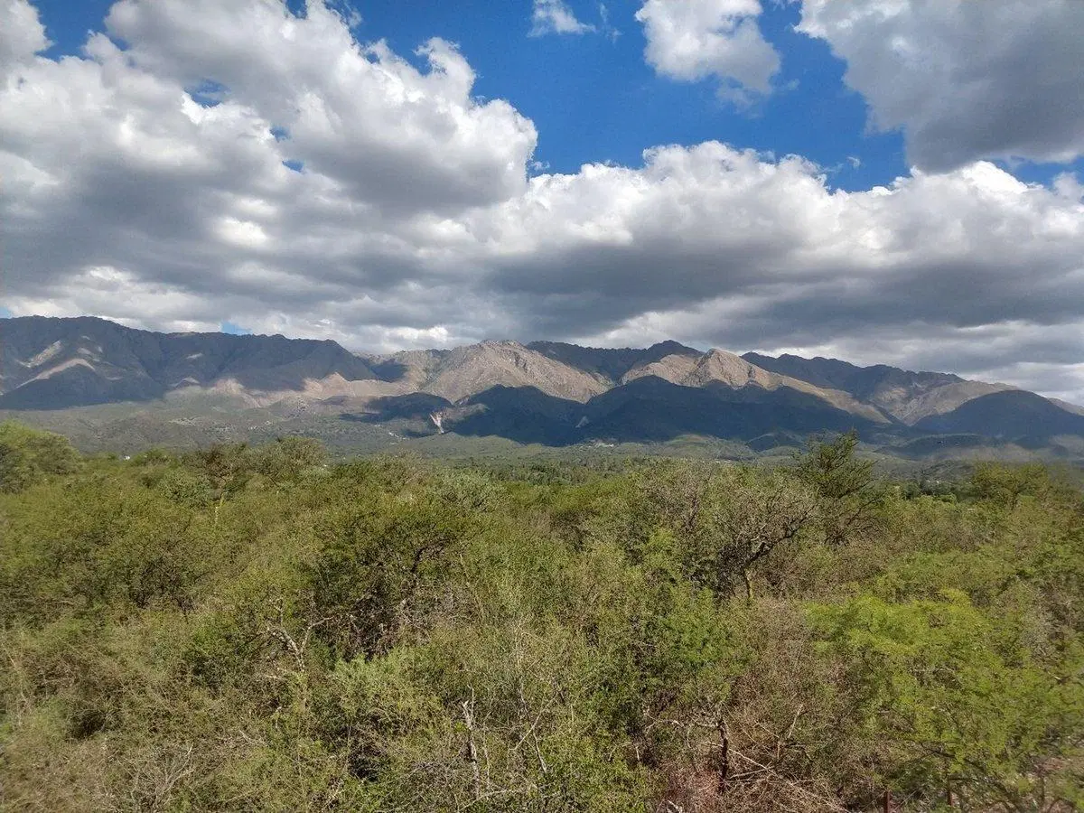 Venta de Terrenos en Las Rabonas 2