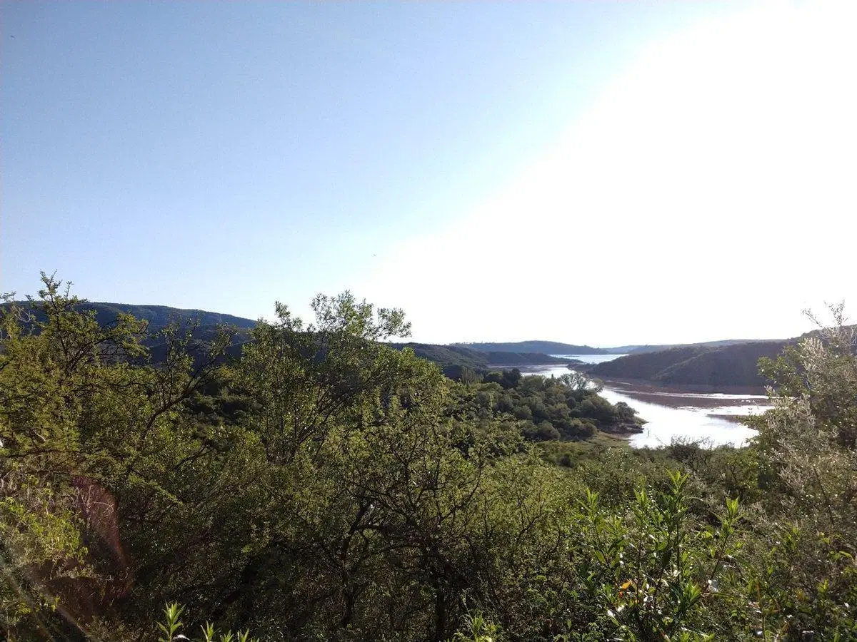 Venta de Terrenos en Las Rabonas 5