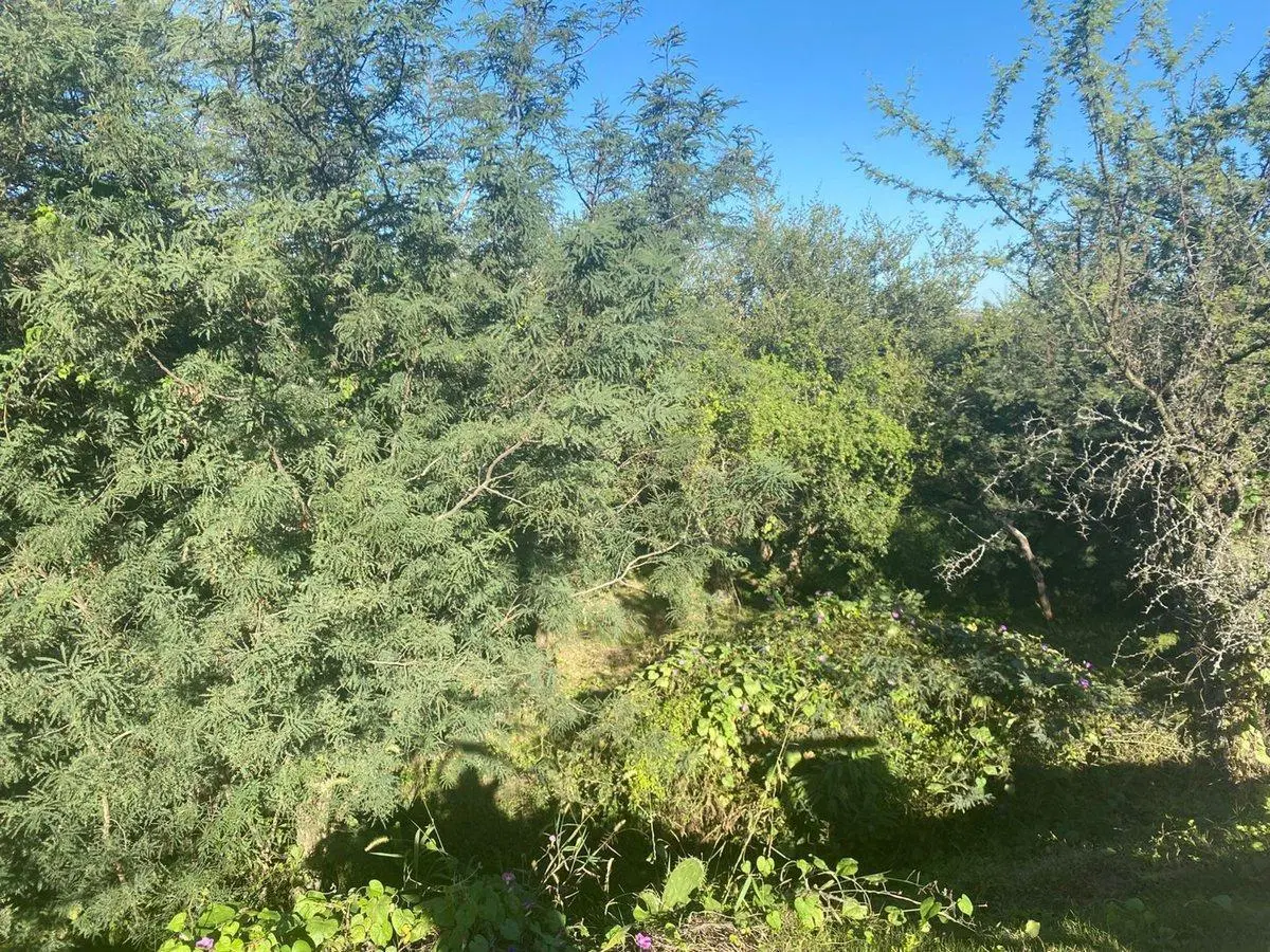VENTA LOTE  ESTANCIA EL TERRON MENDIOLAZA CORDOBA 2
