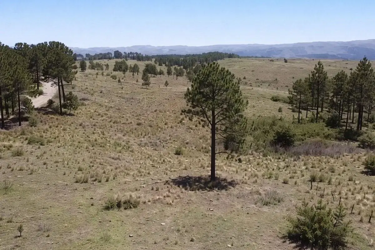 Venta Lote de 1 Hectárea, Villa Berna Calamuchita 5