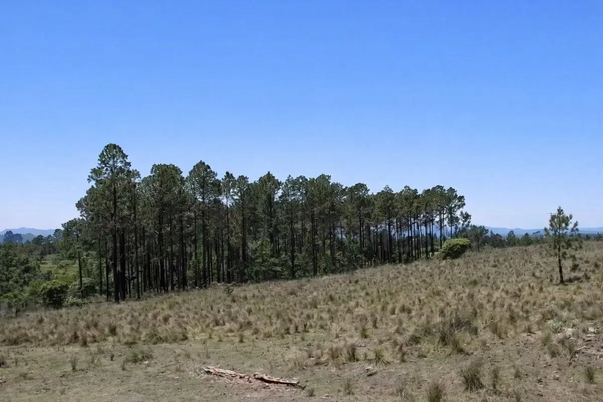 Venta Lote de 1 Hectárea, Villa Berna Calamuchita 4