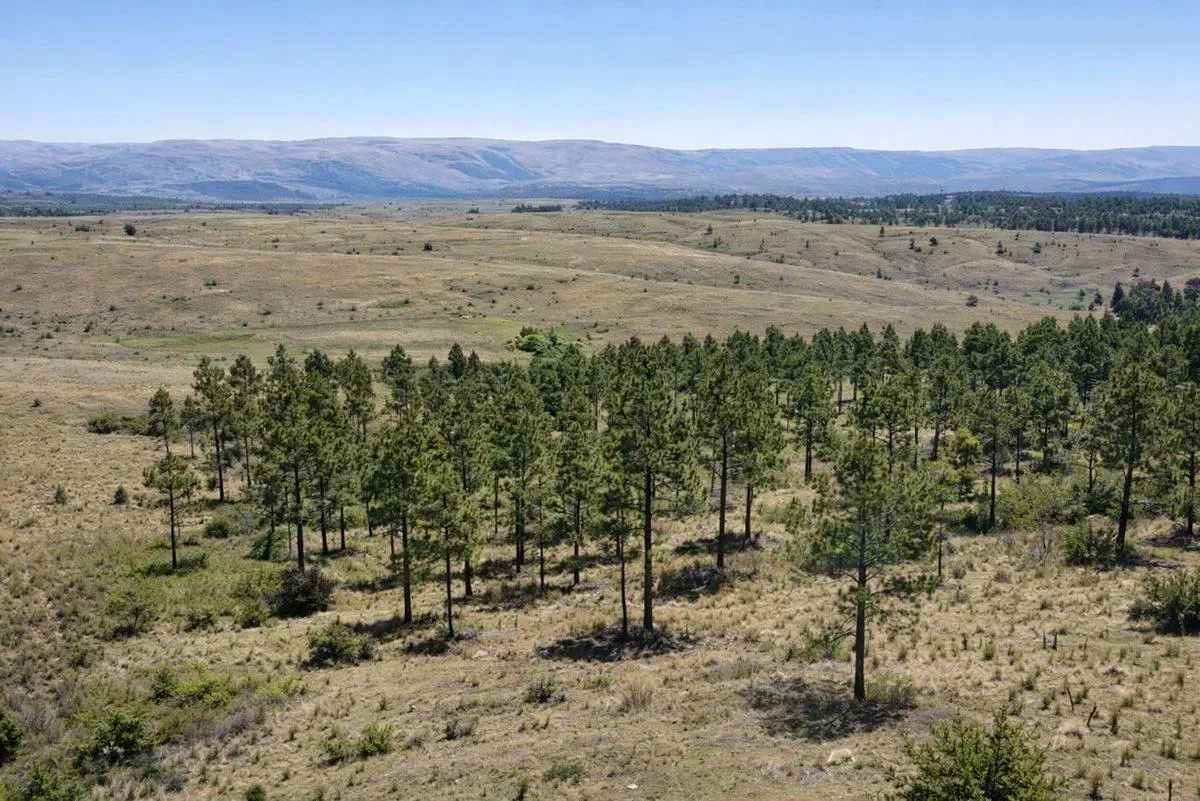 Venta Lote de 1 Hectárea, Villa Berna Calamuchita 2