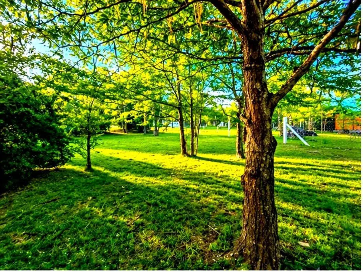 Se vende hermoso terreno Villa Gral Belgrano 4