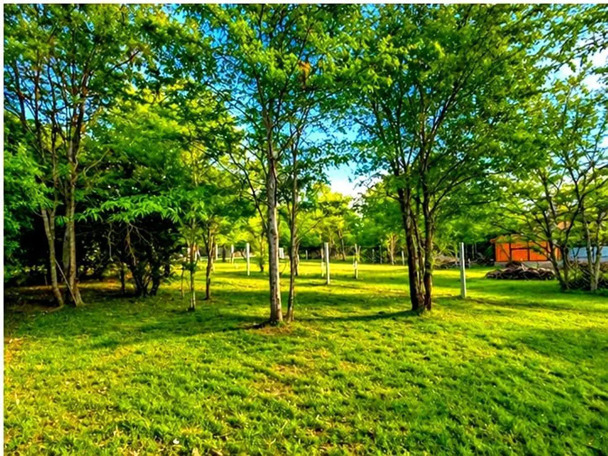 Se vende hermoso terreno Villa Gral Belgrano 3