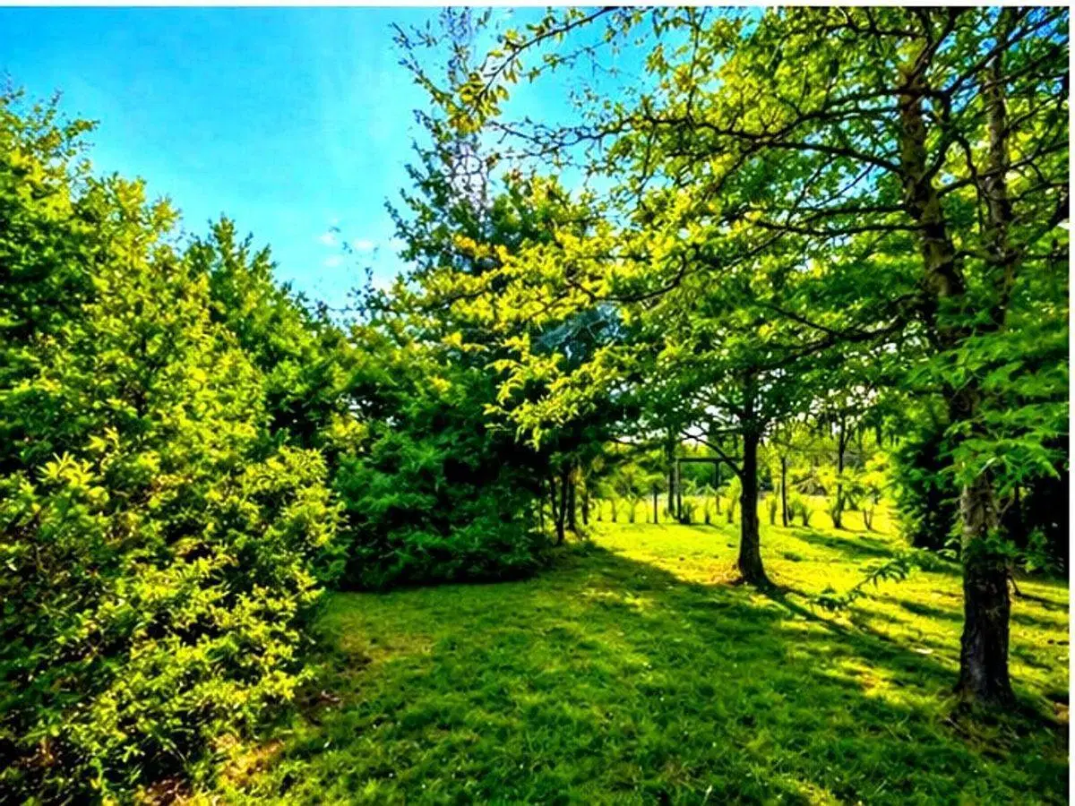Se vende hermoso terreno Villa Gral Belgrano 2