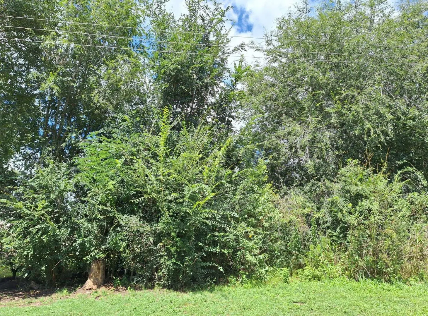VENTA LOTE SALSIPUEDES 450 M2 4