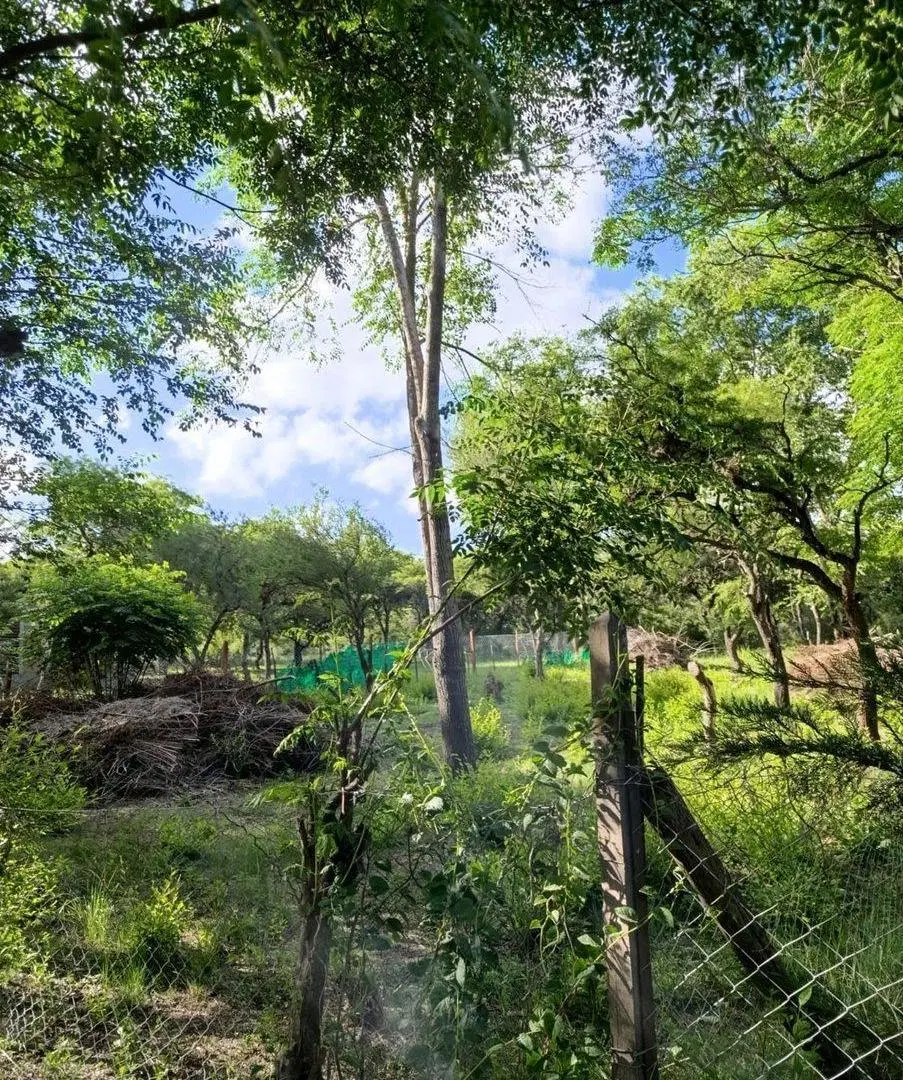 VENTA DE LOTE C/ GAS NATURAL EN B°4 HORIZONTES VGB 3