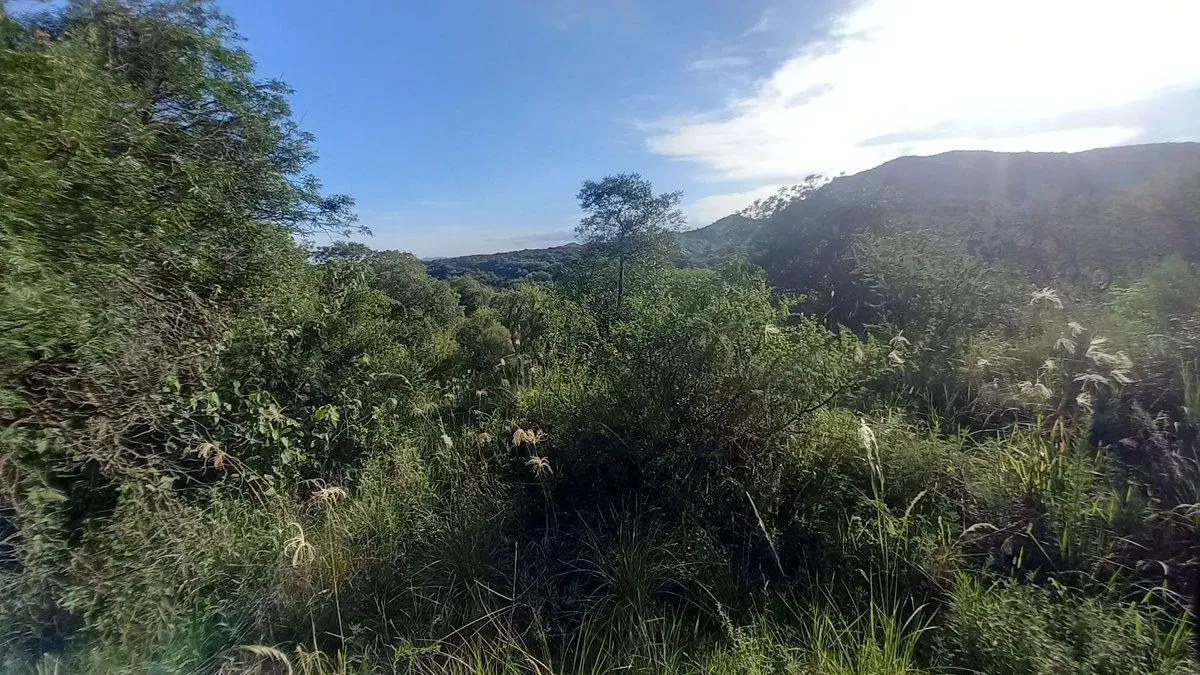 VENTA LOTE TIERRALTA 843 M2 - GAS NATURAL Y VISTAS 5