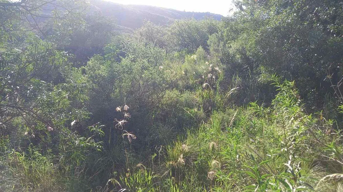 VENTA LOTE TIERRALTA 843 M2 - GAS NATURAL Y VISTAS 3