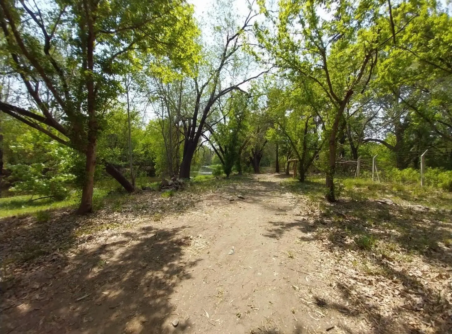 VENTA LOTE EN ZONA NORTE IDEAL DERARROLLO 6.000 M2 4