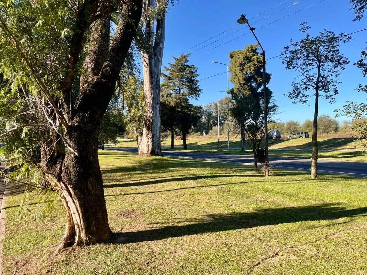VENTA 2 LOCALES GASTRONOMICO ZONA VALLE ESCONDIDO 3