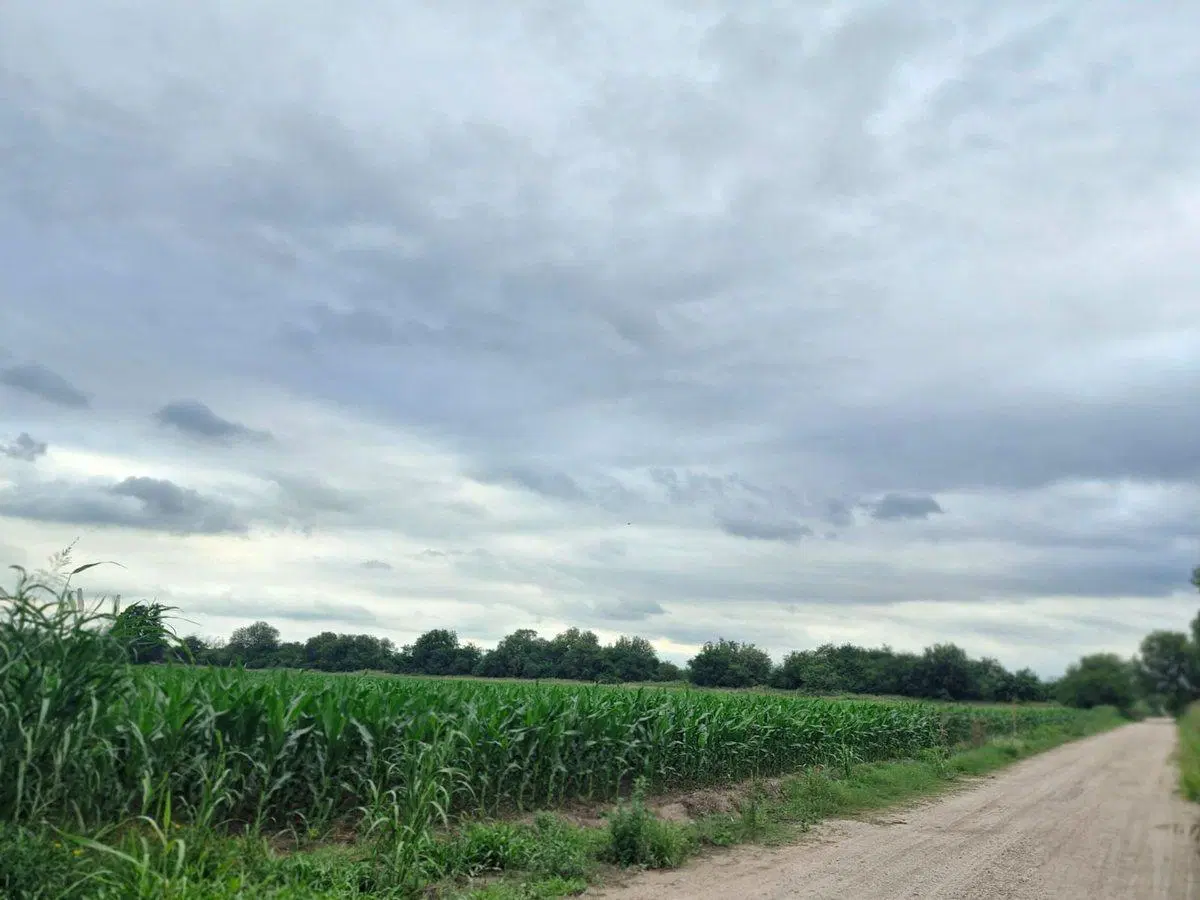 VENTA 16 HECTAREAS AGRICOLAS COLONIA CAROYA CBA 5