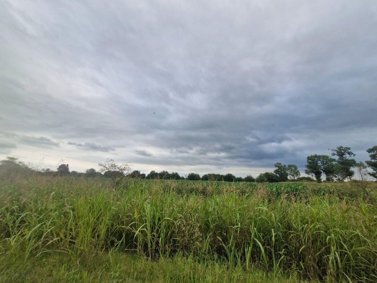 VENTA 16 HECTAREAS AGRICOLAS COLONIA CAROYA CBA