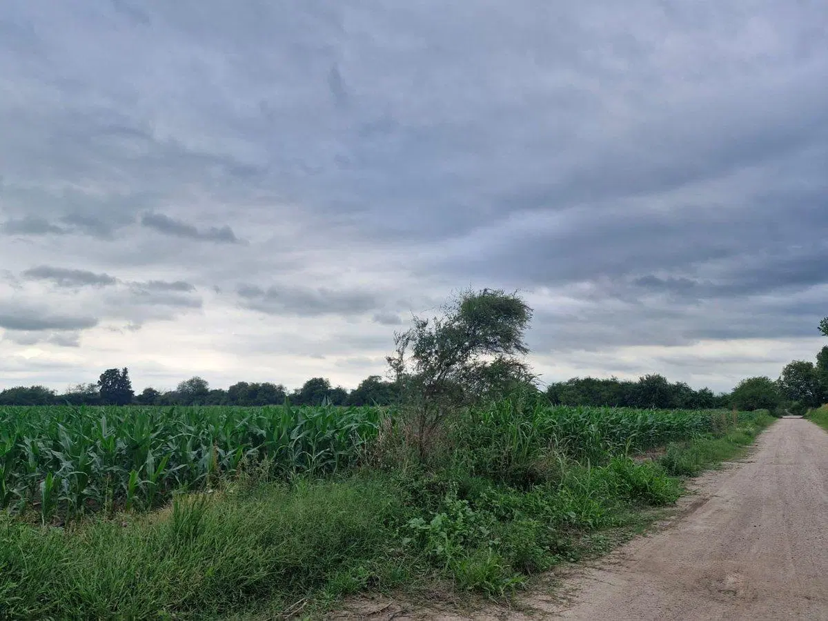 VENTA 16 HECTAREAS AGRICOLAS COLONIA CAROYA CBA 4