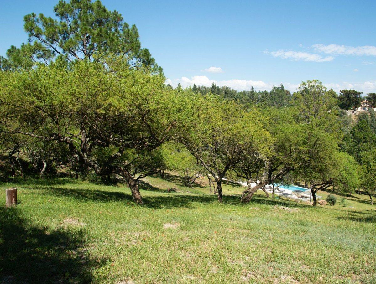 Venta Lote Posta Carreta - Calamuchita - Cordoba