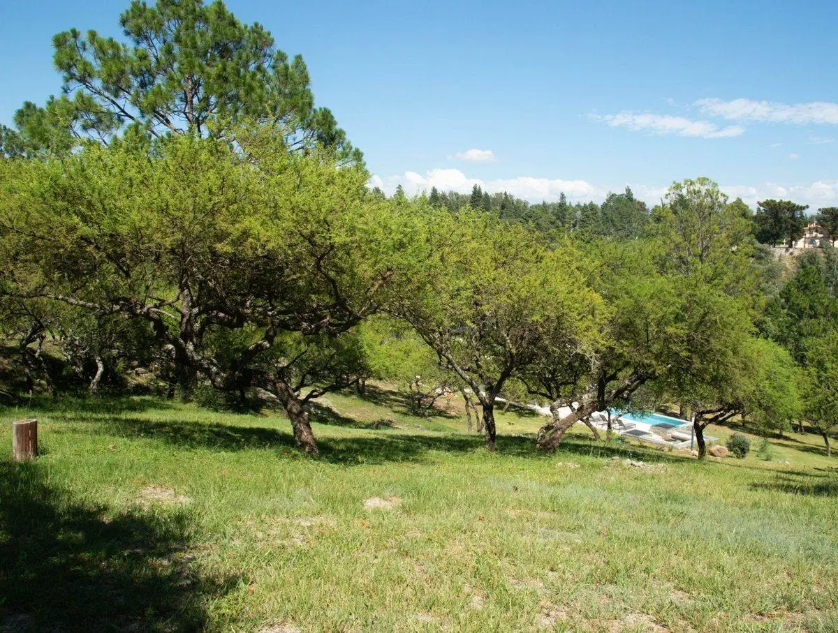 Venta Lote Posta Carreta - Calamuchita - Cordoba 4
