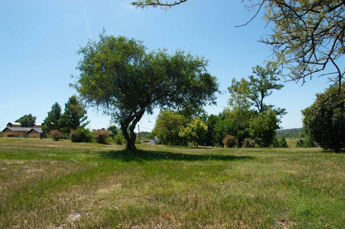 VENTA LOTE POSTA CARRETA, CALAMUCHITA, CORDOBA 4