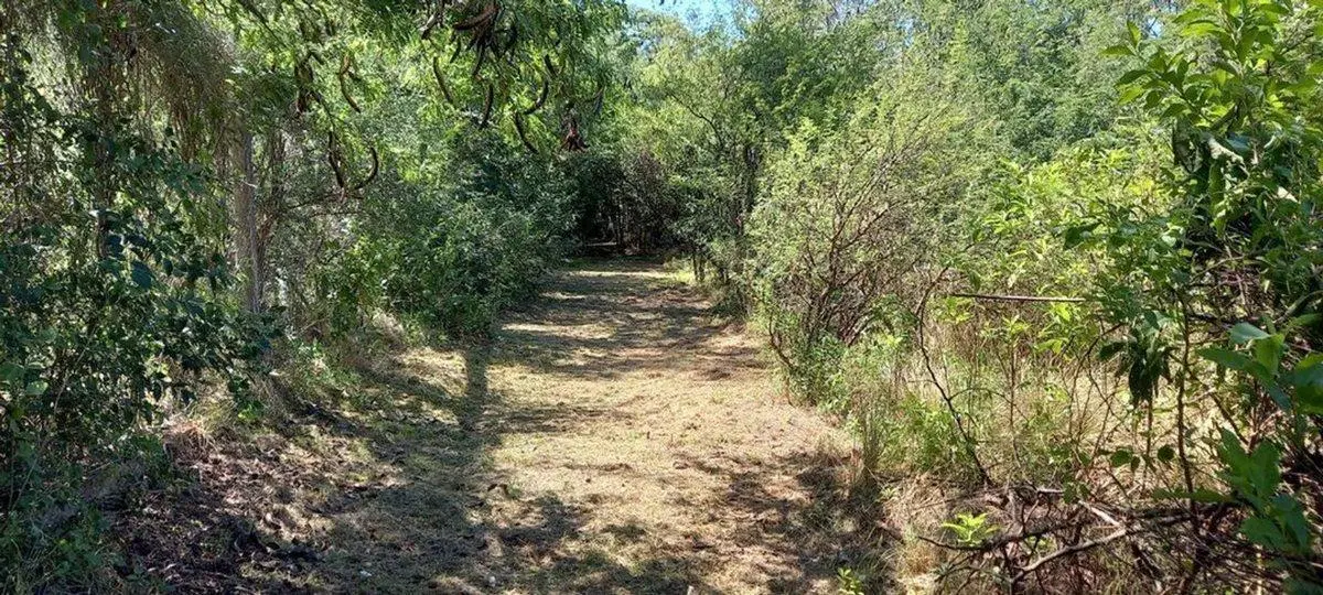 Terreno 5.000 m² para cabañas o casa de descanso 4