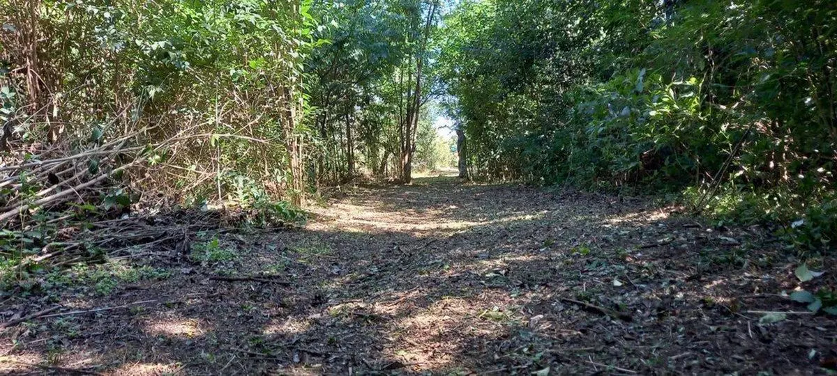 Terreno 5.000 m² para cabañas o casa de descanso 2